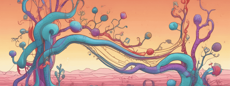 Cellular Respiration Process