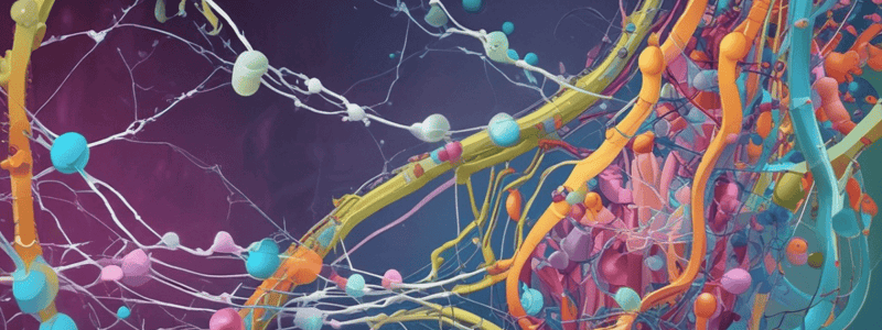 Protein Synthesis in Biology