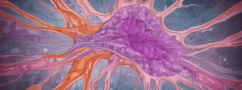 Histology Tissue Preparation