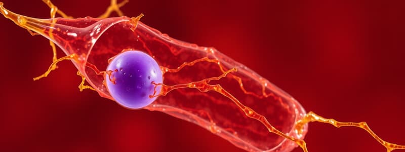 Biologie: Pinocytose et Endocytose