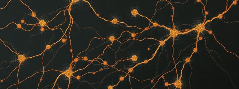 Neuroscience Quiz: Action Potentials and Neurons