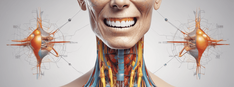 Dermatome Testing