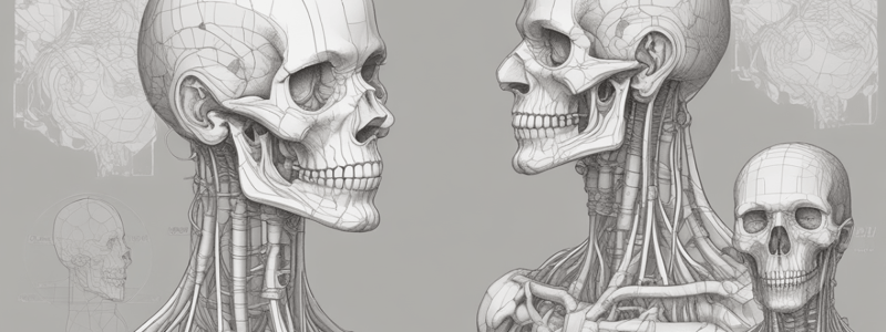 Anatomy Terminology Quiz