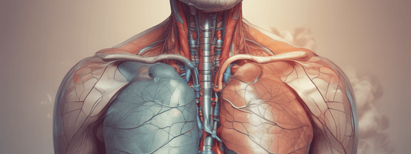 Respiratory System Injuries and Ventilation Rate