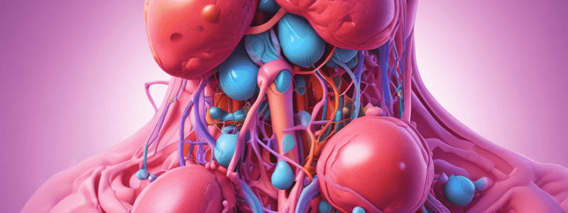 Endocrine System and Hormones Quiz