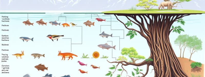 Food Chains and Food Webs Quiz