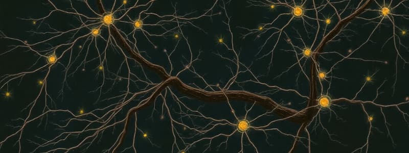 Neurons and Glial Cells Overview