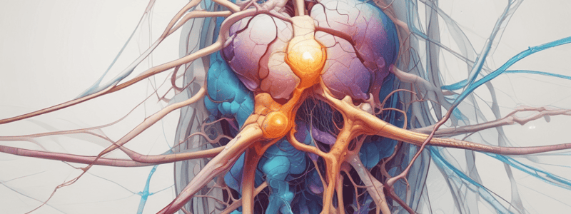 Ion Channels and Neurotransmission