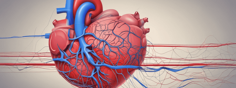 Physiology: The Cardiovascular System