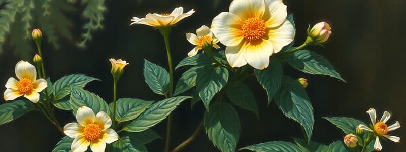 Botanical Art History and Artists