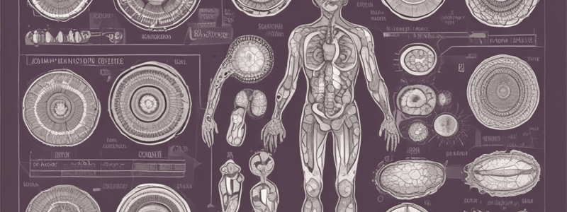 Easy10_Introduction to Anatomy & Physiology Quiz