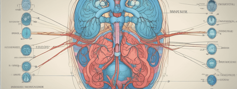 physiology 1404 lect 4