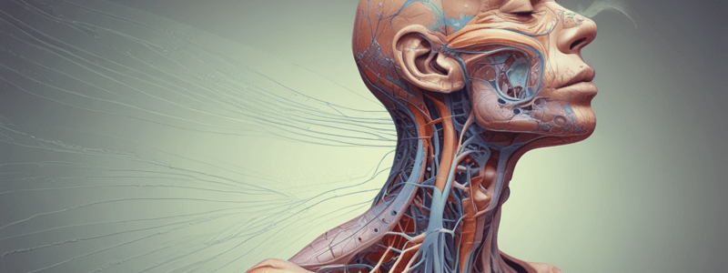 Respiratory System: Nose Function and Cilia