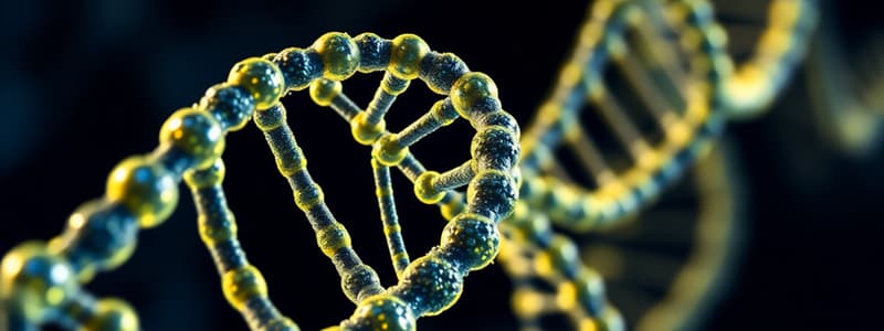 Molecular Biology and DNA Structure Quiz