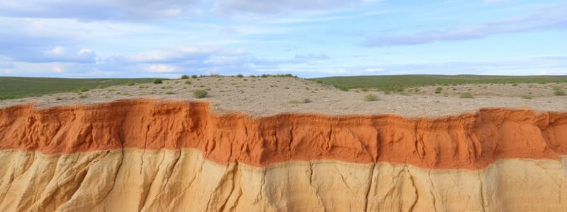 Earth's Surface Processes: Weathering & Erosion