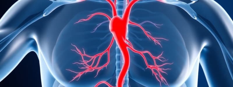 Blood Flow Control Mechanisms