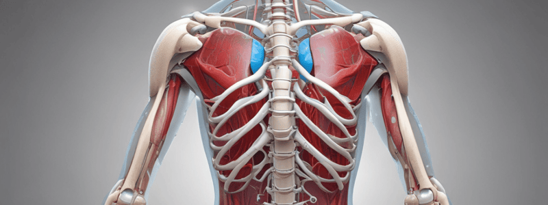 Anatomy LE 1: Clinical Correlation of the Upper Limbs ❌️❌️❌️