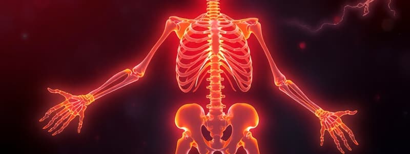 Calcium Homeostasis - Part 1