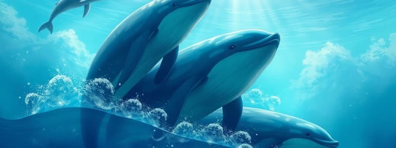 Marine Biology and Cetaceans Quiz