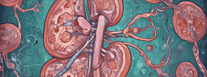 Nephritic Syndrome Diagnosis