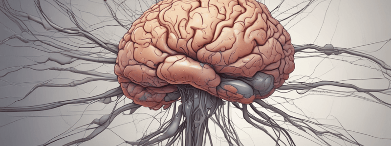 Neurophysiology Pt 3 Quiz