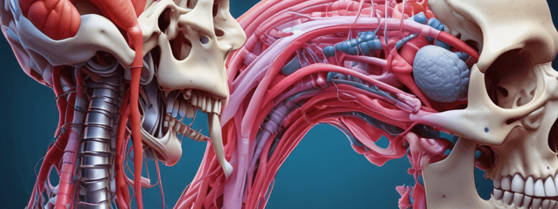 Biomechanics & Surgery: Tissue Mechanics III Cartilage