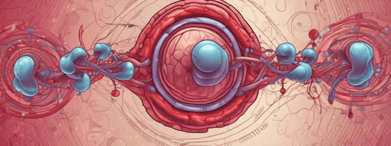 Thalassemias: Genetic Disorders of Hemoglobin