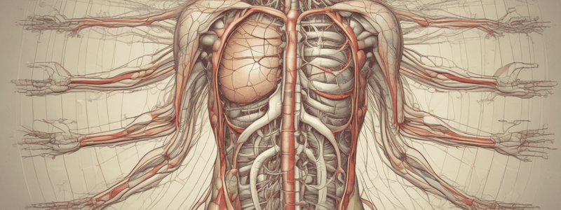 Lecture 5.1 - The autonomic nervous system