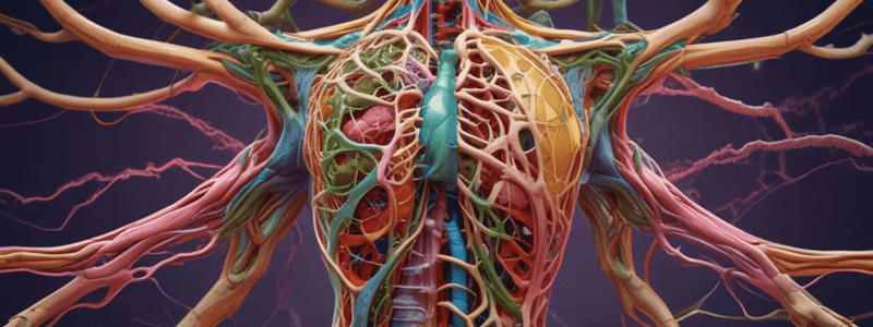 Anatomy of the Lymphatic and Immune Systems - Chapter 21.1