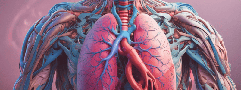 Respiratory System: Organs and Structures