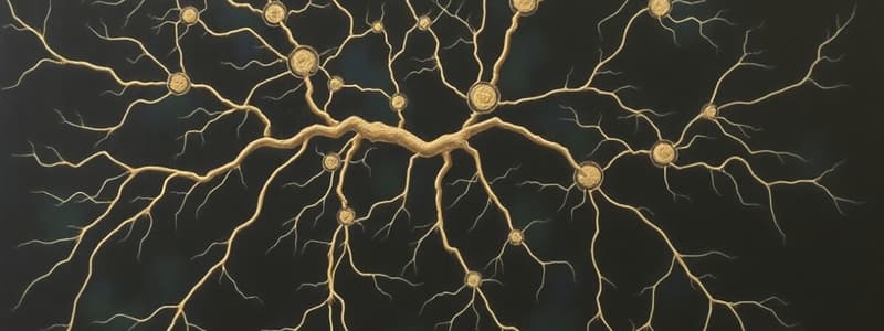 Cours 1 : Neurones et Système Nerveux