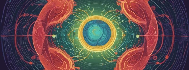 Overview of the Cell Cycle