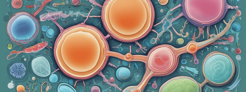 Bacterial Morphology and Cell Structure