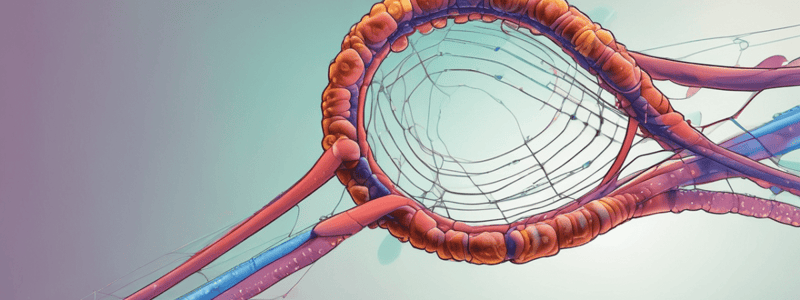 Genetic Control and Gene Expression Quiz