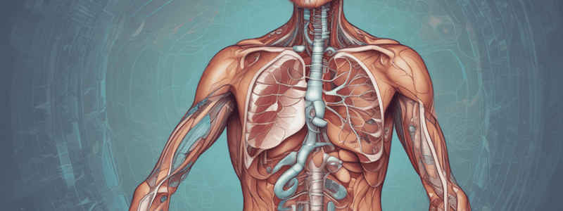 Anatomy. Respiratory System Qz 1