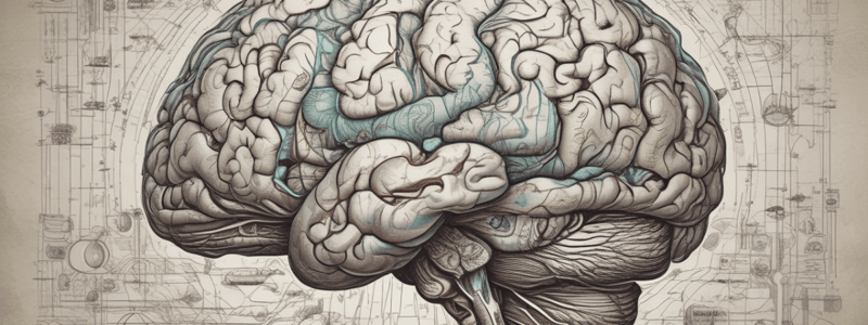 Visual Perception Pathways in Monkeys