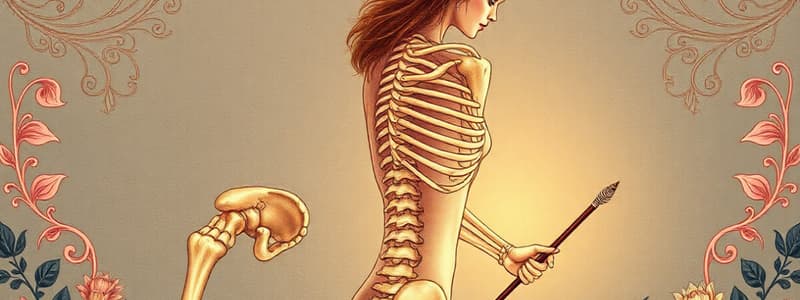 Musculoskeletal System Study Questions