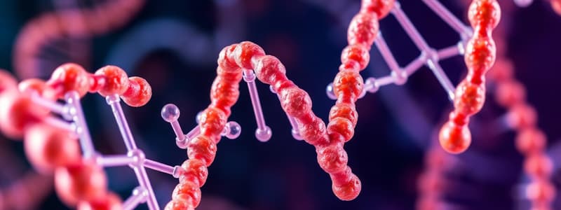 Nucleic Acids Overview