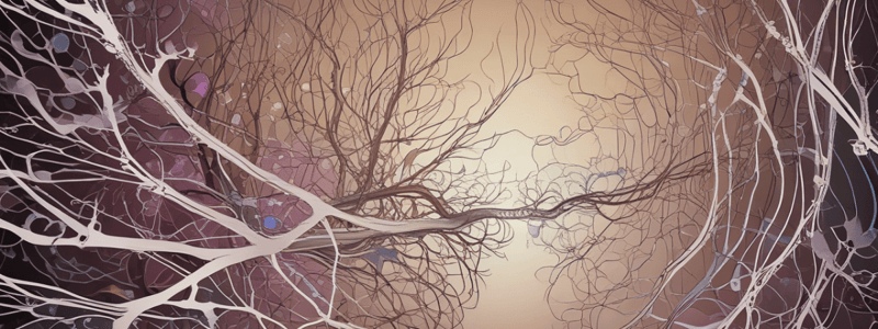 Physiology of the Nervous System: Central Nervous System