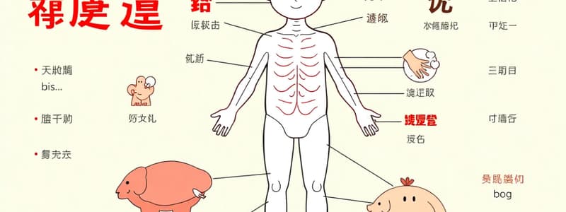 Body Parts in Mandarin