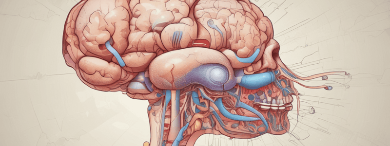 Endocrinology: Pituitary Gland Function