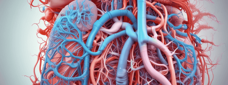 23.1 Introduction To The Respiratory System