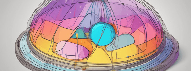 Scale Drawing Calculation Examples