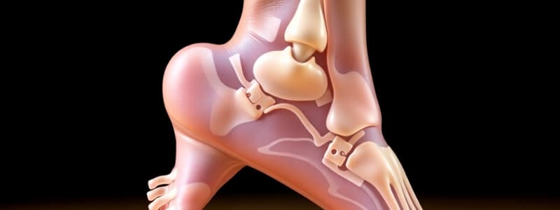 Musculoskeletal LQ  Week 12 - Leg, Ankle, Foot Pathologies