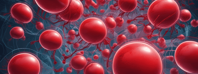 Functions of Red Blood Cells