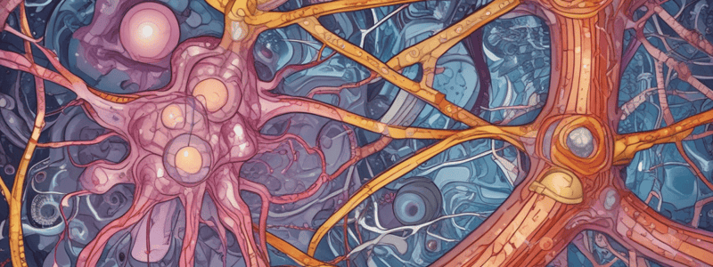 Systemic Connective Tissue Diseases Quiz