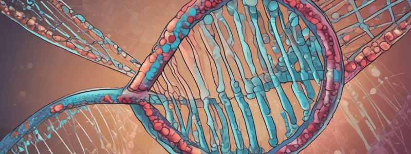 DNA Repair and Cancer