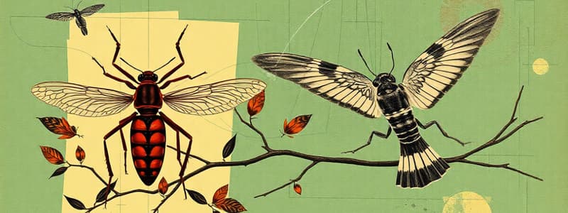 Life Cycles of Insects and Birds