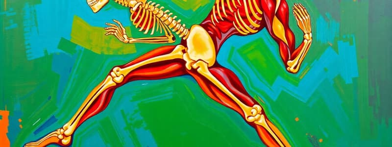 Human Movement and Musculoskeletal System