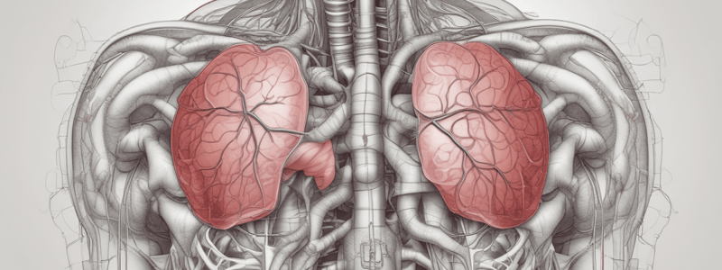 Respiratory Anatomy – Mechanics of Breathing1.1